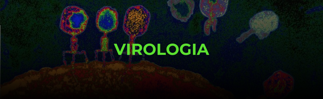 virologia